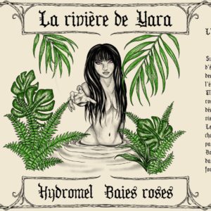 Baies rose - Yara - Hydromel Bouteille 0.5L — BAI label