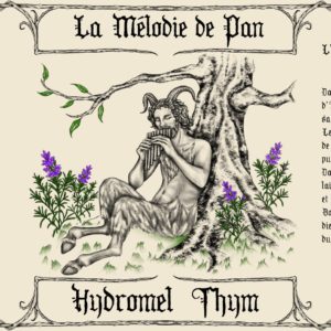 Thym - Pan - Hydromel Bouteille 0.5L — THY label